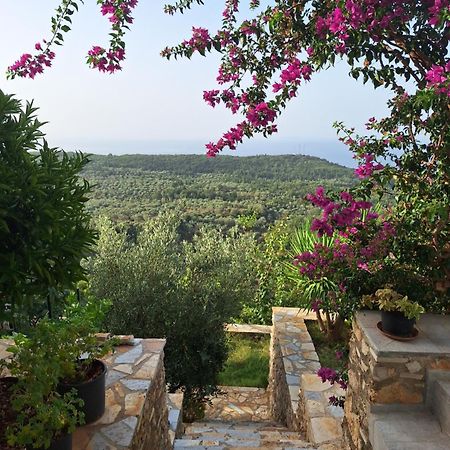 منزل الضيف Vuno  في Vila Tatjana المظهر الخارجي الصورة